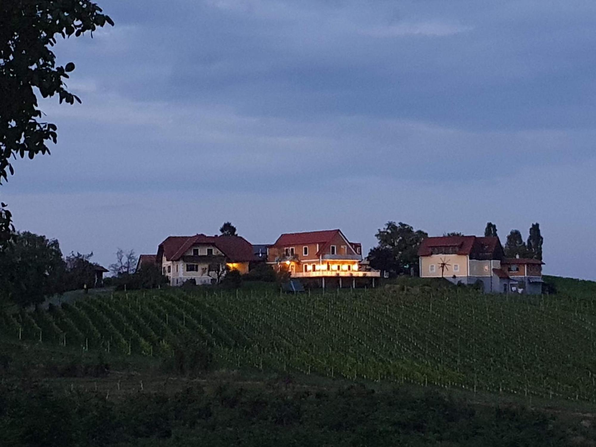 مبيت وإفطار Sankt Peter am Ottersbach Weinhof Reichmann المظهر الخارجي الصورة