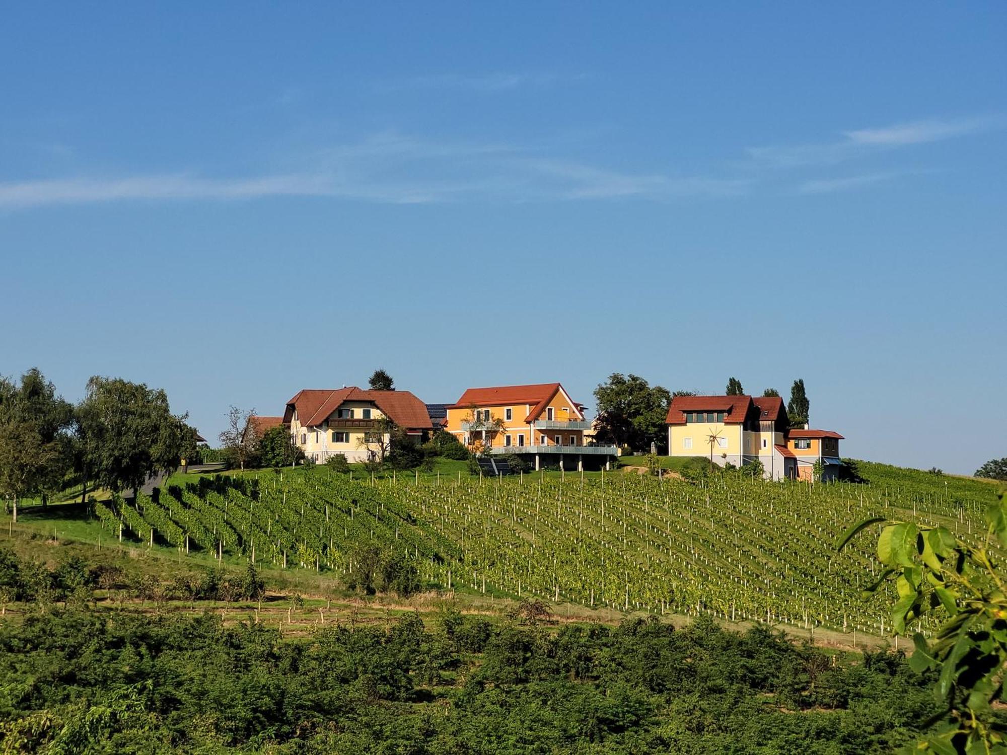 مبيت وإفطار Sankt Peter am Ottersbach Weinhof Reichmann المظهر الخارجي الصورة