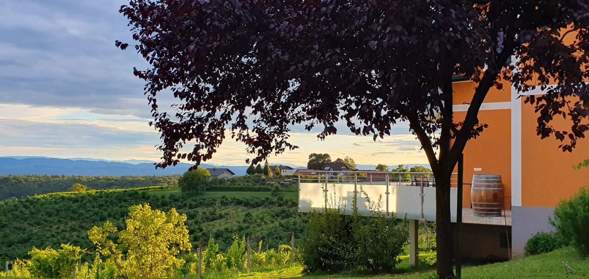 مبيت وإفطار Sankt Peter am Ottersbach Weinhof Reichmann المظهر الخارجي الصورة